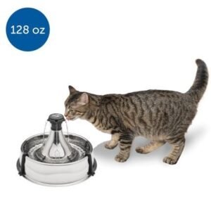 import placeholder for 2262